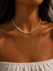 Collar Golden Hour