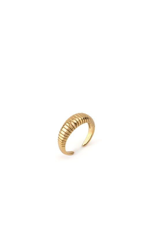 Anillo Oblivion