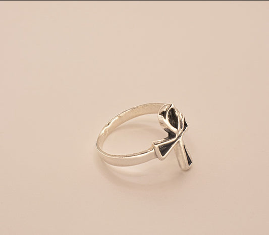 Anillo End